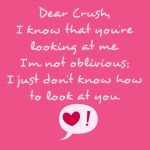 Crush Quotes for Him (15)