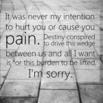 I’m-Sorry-Quotes-for-Him_05