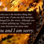 I’m-Sorry-Quotes-for-Him_17